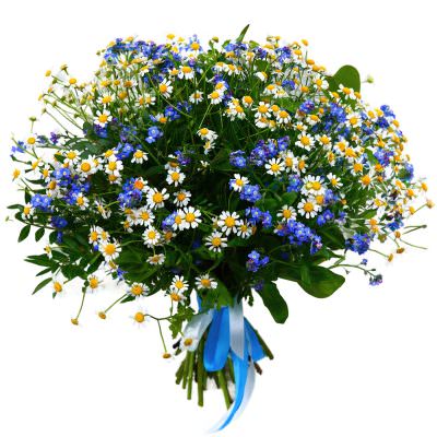 Букет с незабудками и ромашками «Незабудка»